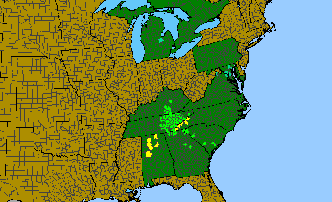 The range of Trillium luteum